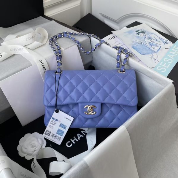 Chanel Small Classic Handbag Silver Hardware