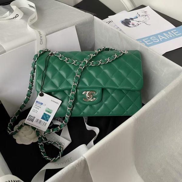 Chanel Small Classic Handbag Silver Hardware