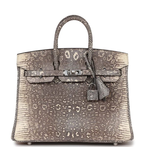 Hermes Birkin 25 Ombre Varanus Salvator Lizard Palladium Hardware