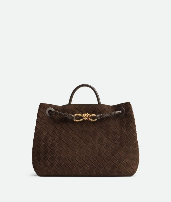 Bottega Veneta Medium Andiamo